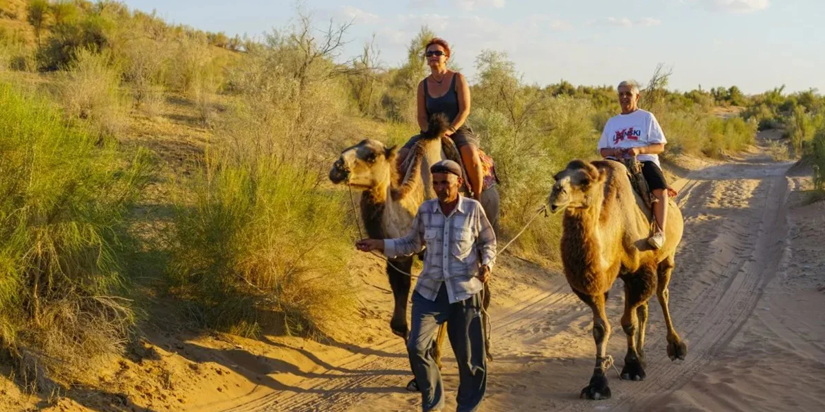 Desert Adventures in Uzbekistan