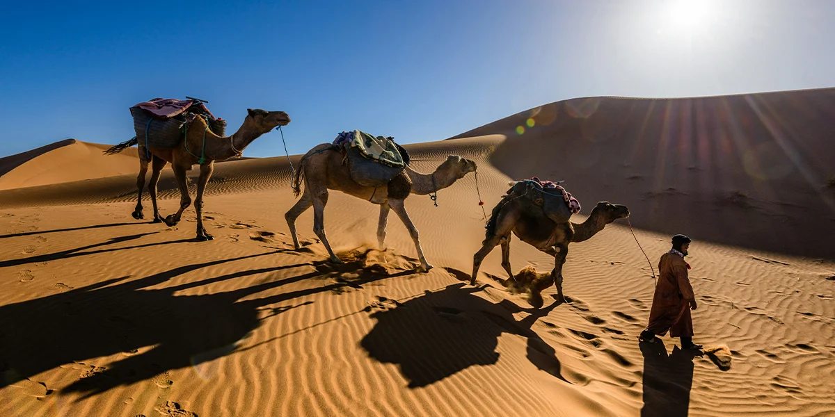 Adventure Activities in Rajasthan