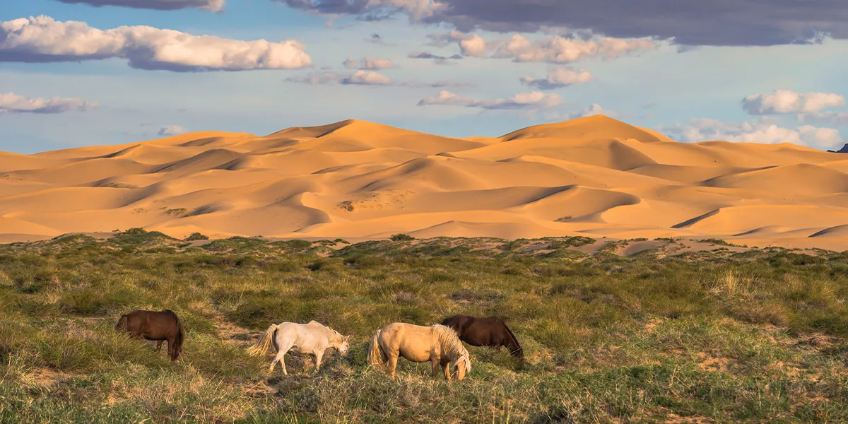 Natural Wonders in Mongolia