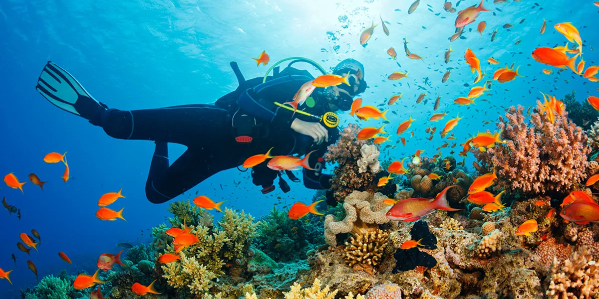 Water Sports Activities in Zanzibar