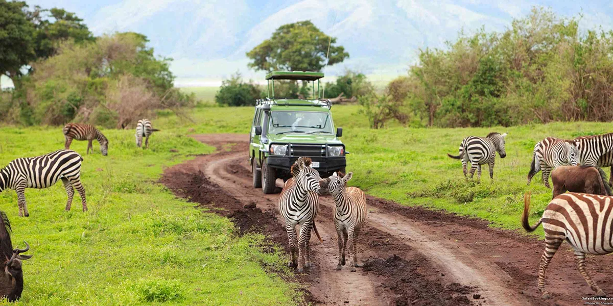 Easy Combination with Tanzania Safaris