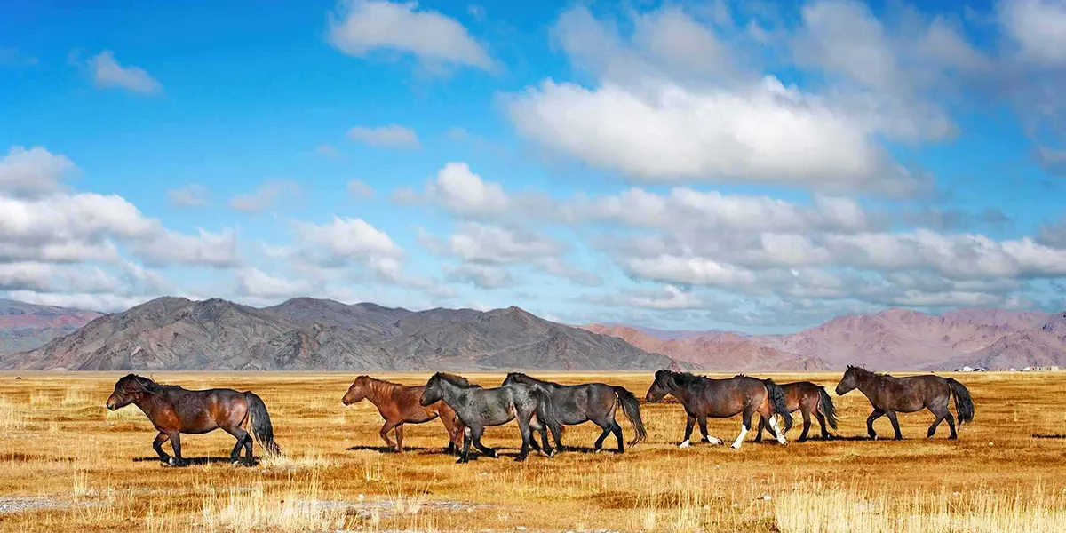 Hustai National Park