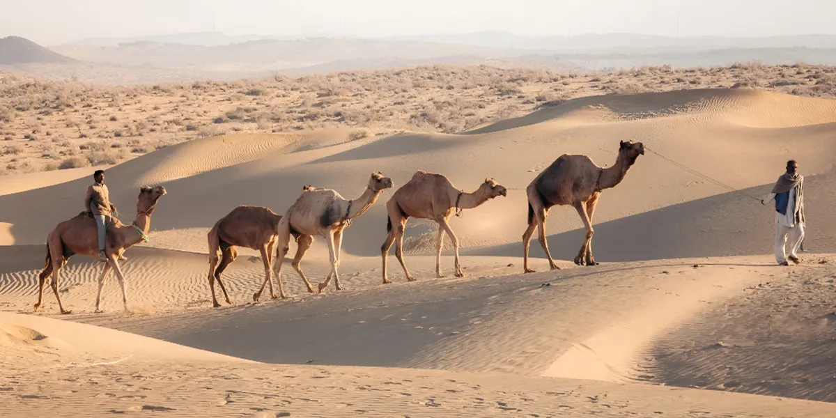Desert Adventures in Mongolia