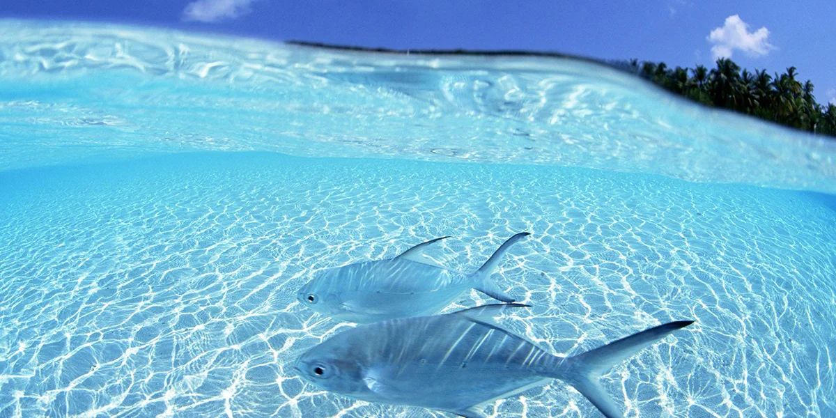 Reasons to Visit Zanzibar