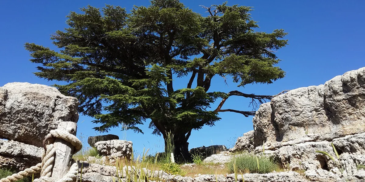 Hiking Trails in Lebanon