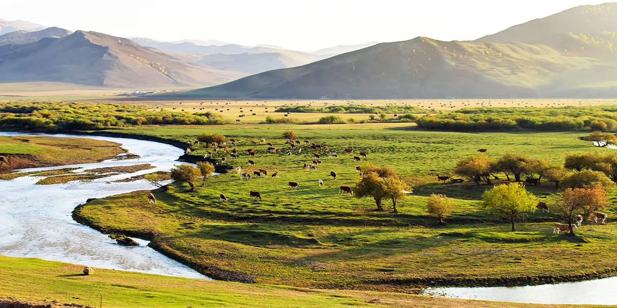 Orkhon Valley