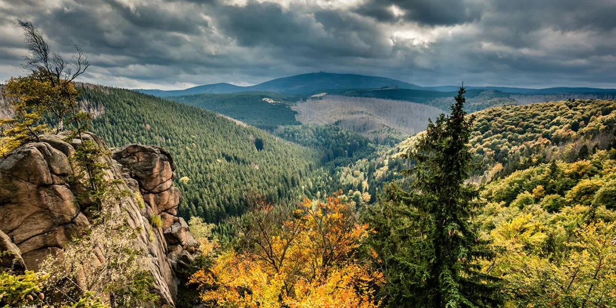 Harz National Park