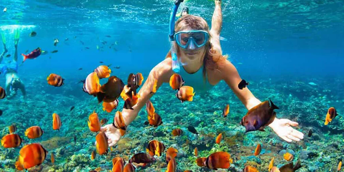 Snorkeling and Diving Experiences