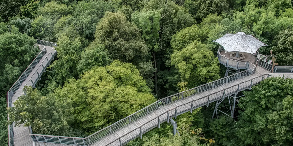 Hainich National Park