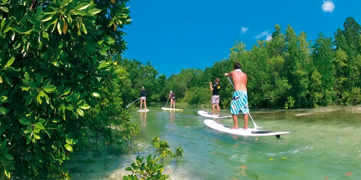  Stand-Up Paddleboarding