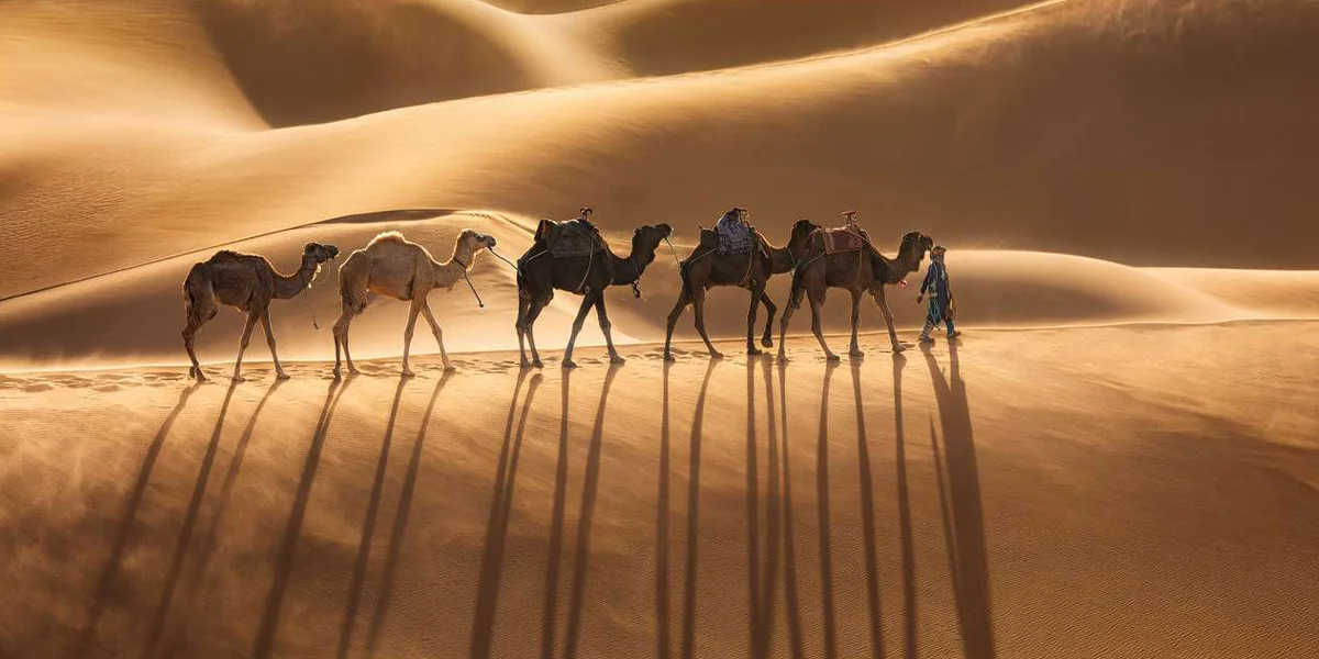 Desert Photography Tours