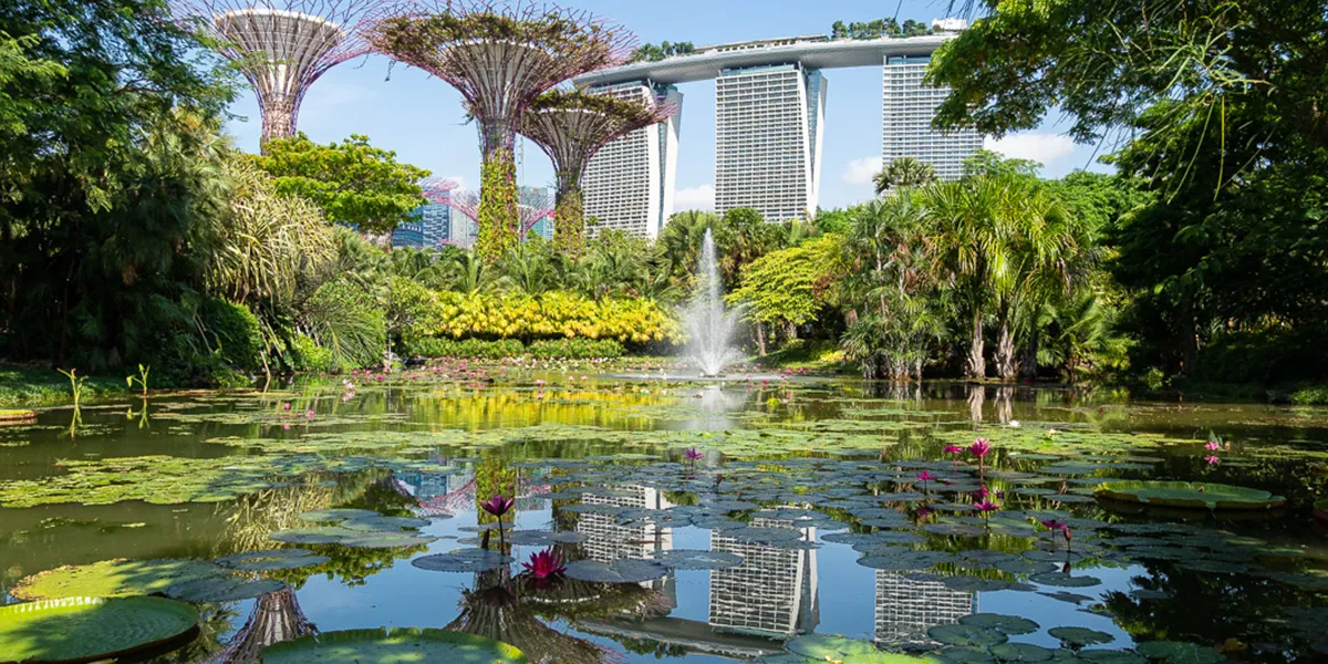 Gardens by the Bay