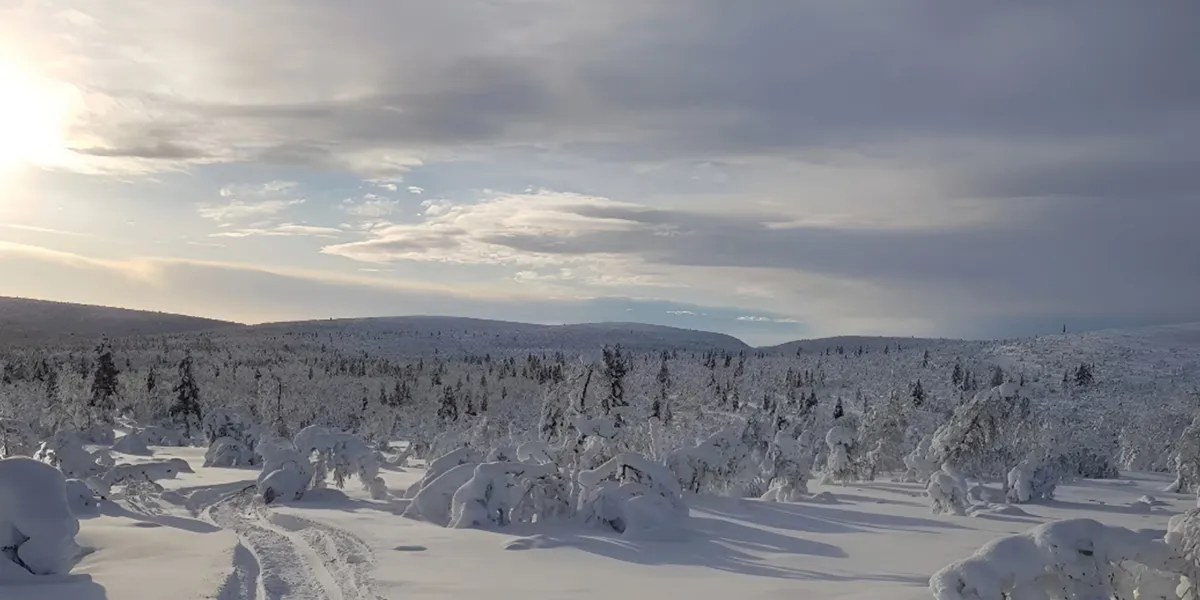 Lemmenjoki National Park