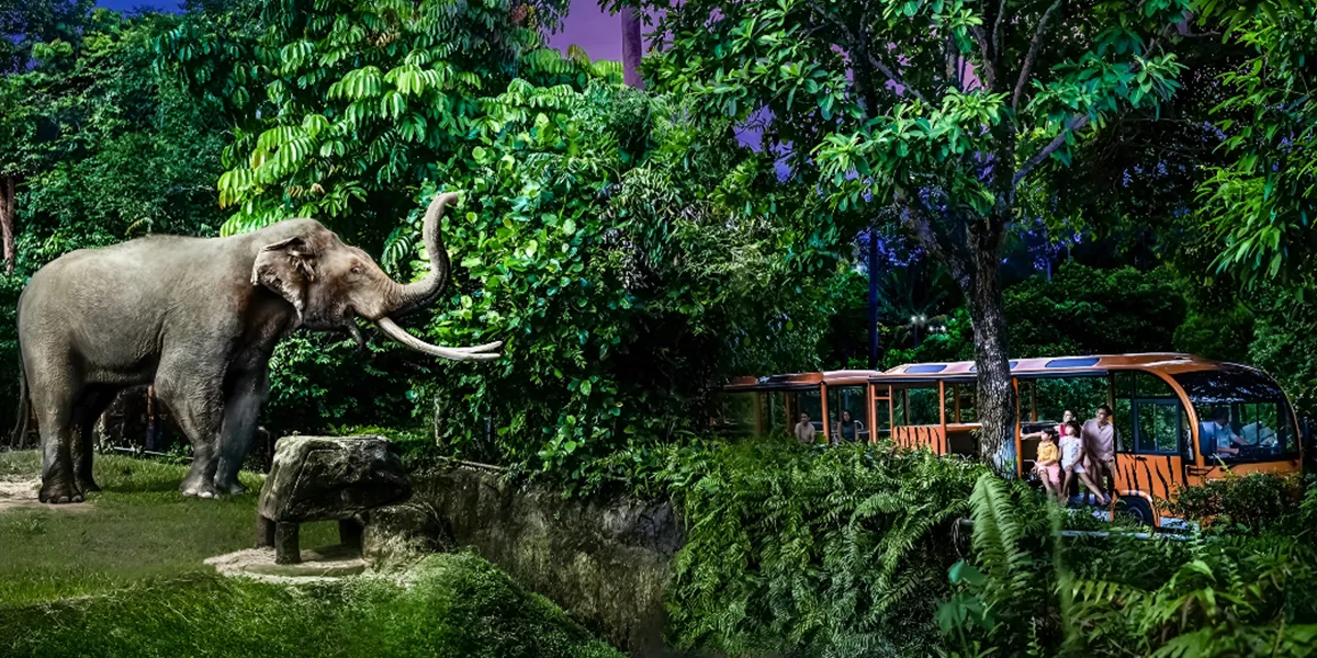 Attractions for Kids in Singapore