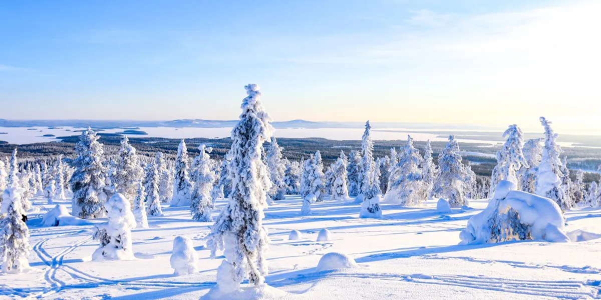 Riisitunturi National Park