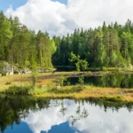National Parks in Finland