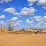 Desert Adventures in Uzbekistan