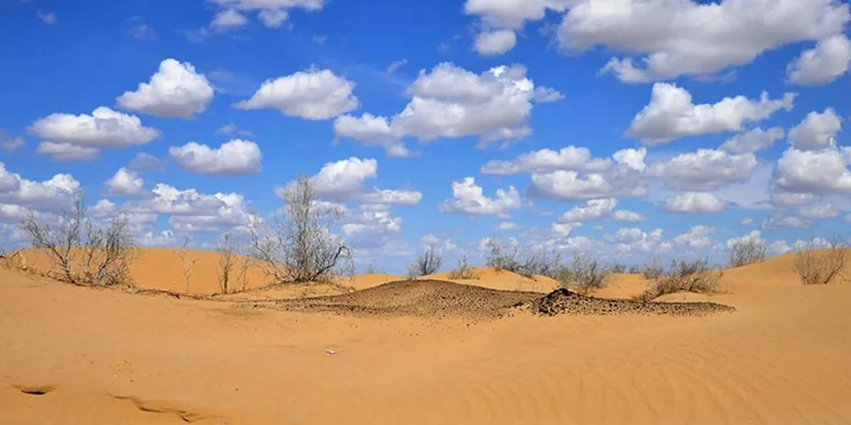 Desert Adventures in Uzbekistan